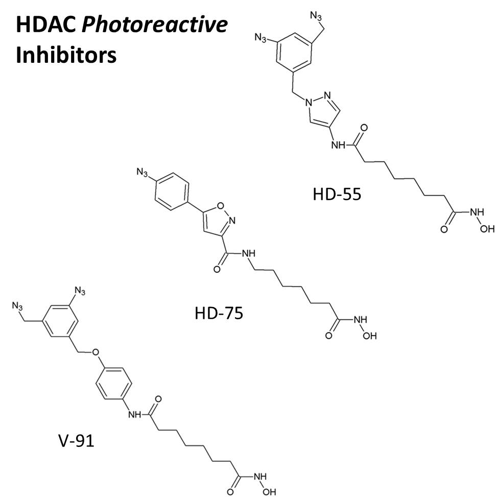 HDAC Photoreactive Inhibitors